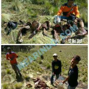 Gabungan Aparat Buru Pelaku Pembantaian Rusa Lawu