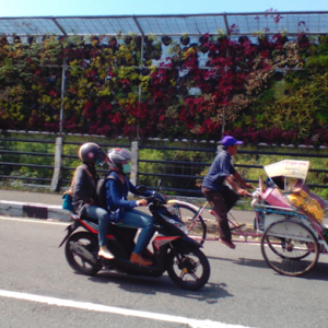 Taman Vertikal Garden Jembatan Gandong Satu Terkesan Kumuh