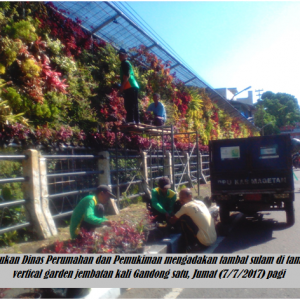 Begitu Diberitakan Pemeliharan Taman Garden Jembatan Kali Gandong di Benahi