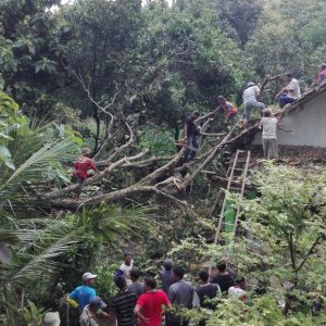 PUTING BELIUNG TERJANG PONOROGO PORAK PORANDAKAN RUMAH WARGA