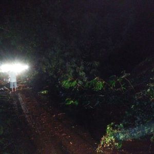 Tegalombo Longsor, Jalur Pacitan Ponorogo Tutup Sementara