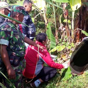 Mayat Telanjang Digubug Sawah Gegerkan Warga