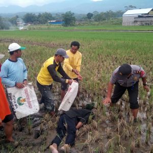 Epilepsi Kambuh, Warga Ditemukan Meninggal Di Pematang Sawah