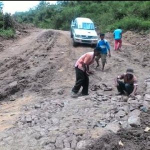 P2MELSI Kembali Desak Jokowi Benahi Infrastruktur di Elsel