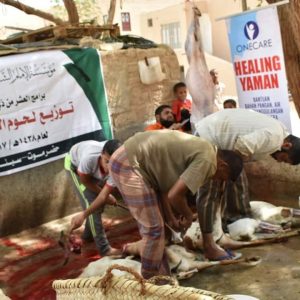 Cara BerKURBAN 2018 Di Yaman Bersama One Care