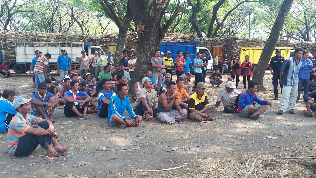 Ternyata Ini Sebabnya PG. LESTARI Nganjuk Didemo Petani Tebu