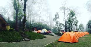 Wisata Nyaman Dan Indah Di Jawa Timur? Mojosemi “The Beauty Of Java”