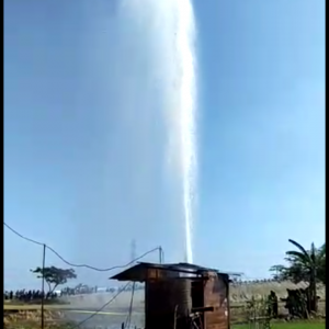Vidio,  Munculnya Semburan Air Di Ngawi Hebohkan Warga