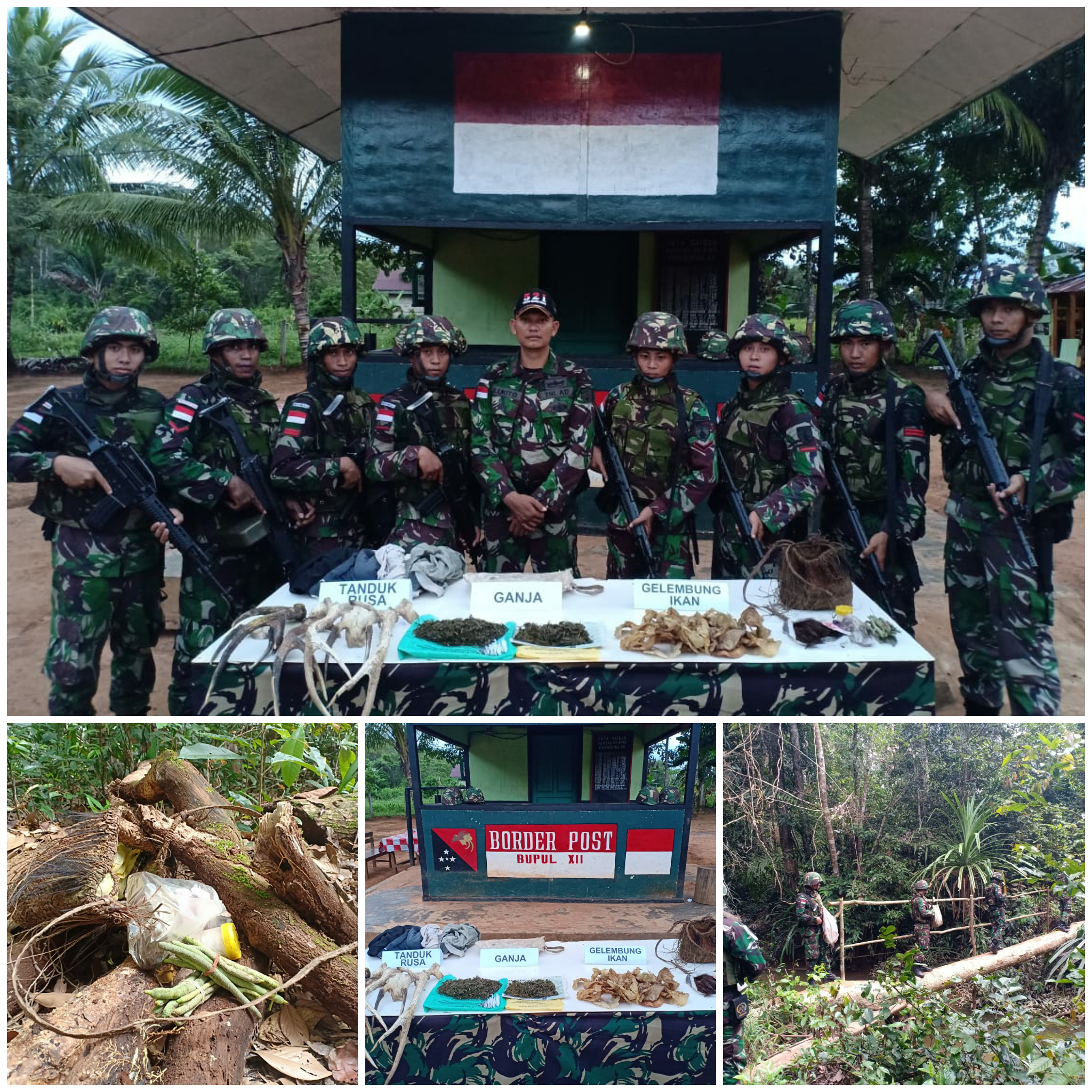 Yonir 521 Mengamankan Puluhan Bungkus Ganja dan Gelembung Ikan serta Tanduk Rusa