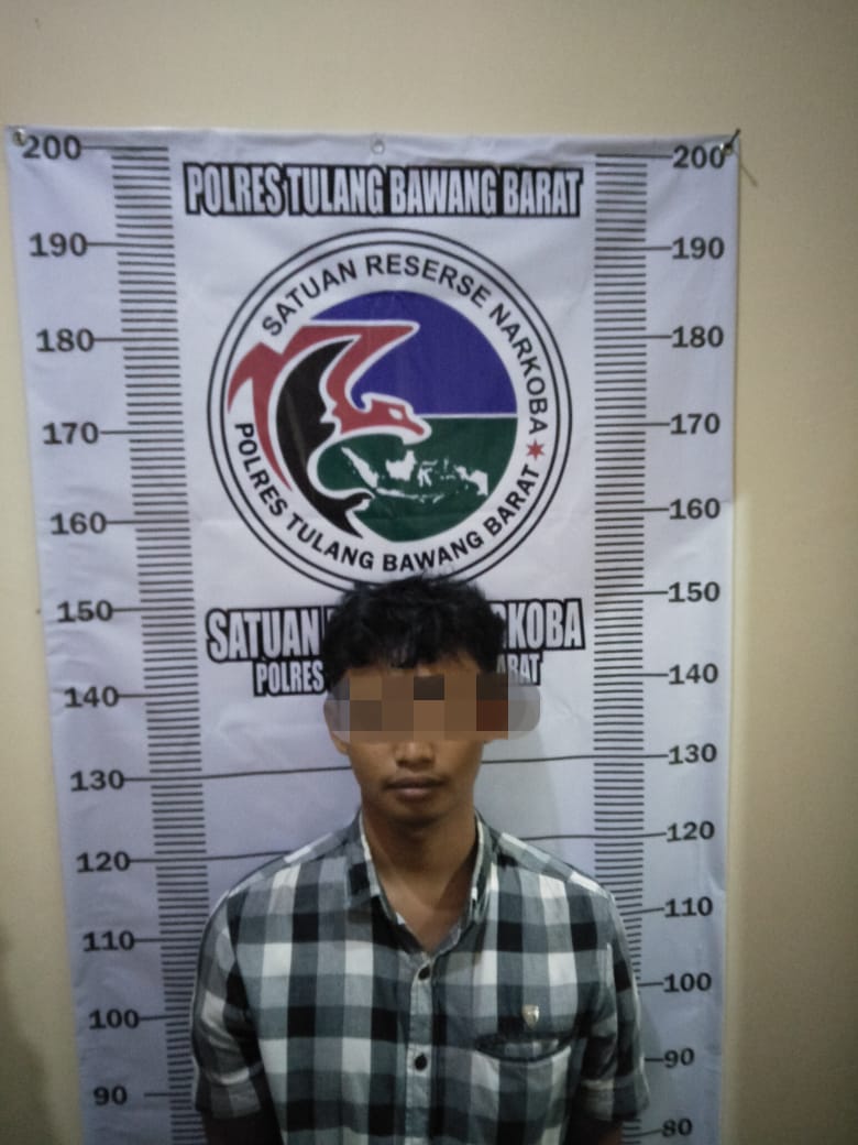 Sedang transaksi dirumah, pengedar narkoba di bekuk aparat sat narkoba polres Tubaba