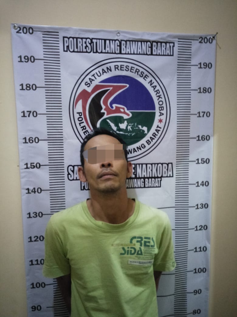 Seorang Pria Diamankan Sat Polres Tubaba Karna Membawa Narkoba Jenis Sabu