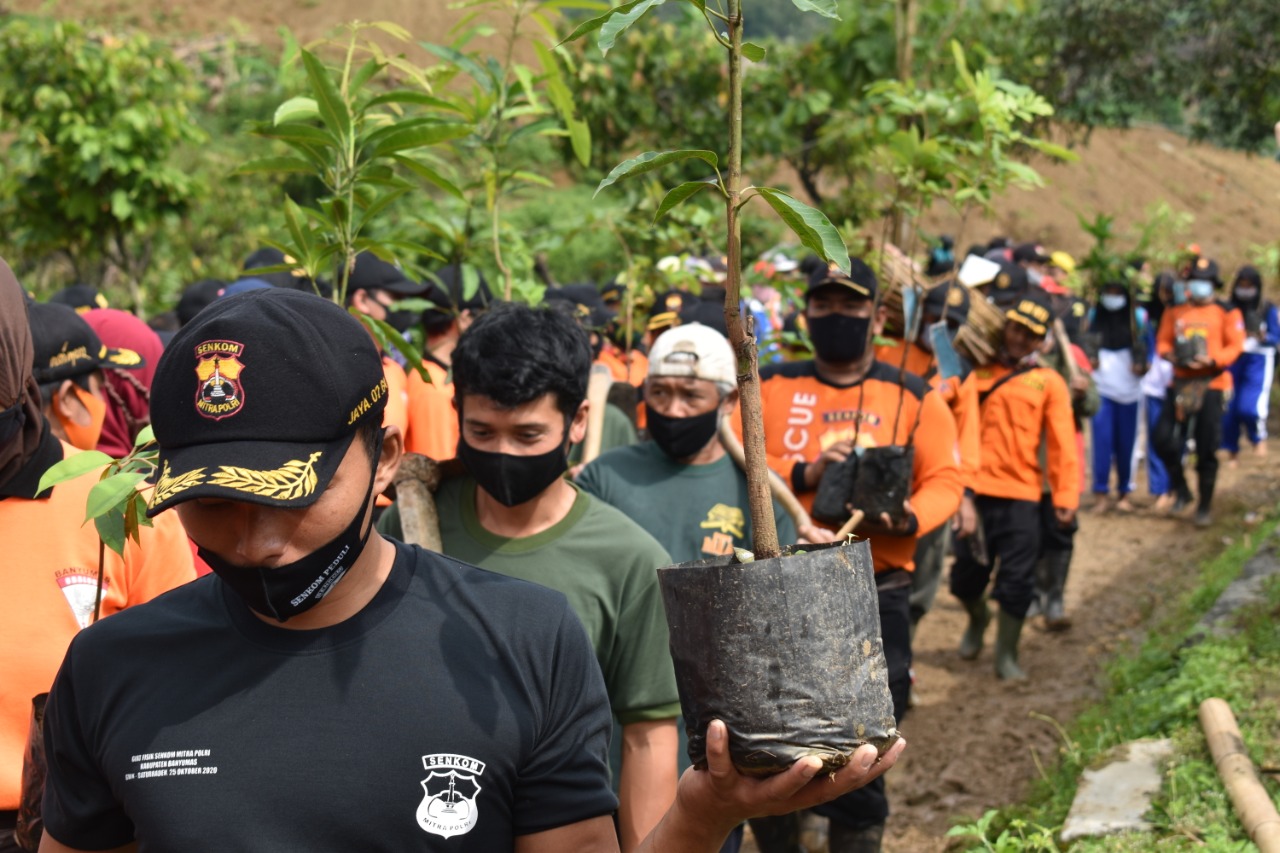 Lestarikan Alam, Korem 071/Wijayakusuma Tanam 40 Ribu Pohon di Darmakradenan