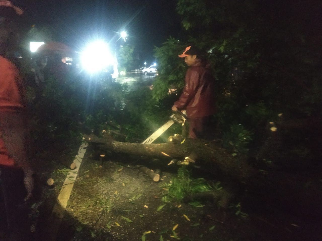 Tidak Hanya Banjir Hujan Lebat Mengakibatkan Pohon Tumbang Di Sukomoro Magetan