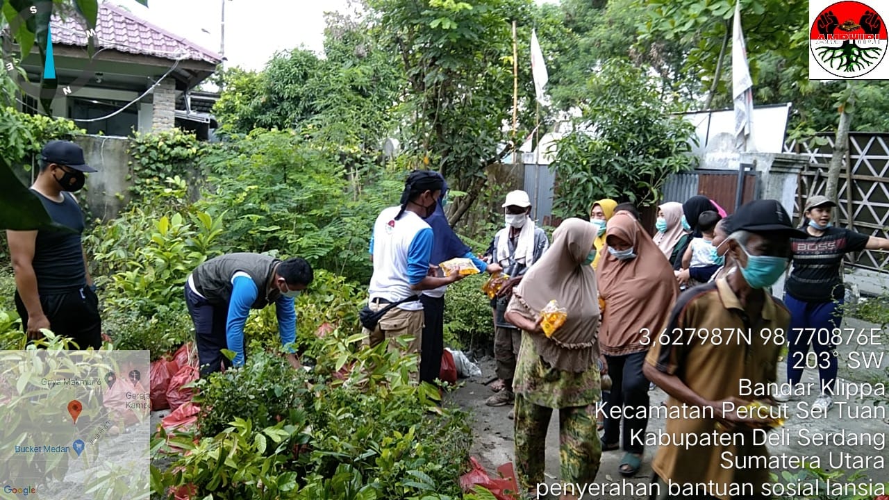 AMPHIBI HUT KE 5 GELAR AKSI TANAM 10 RIBU POHON UNTUK HUTA N PRODUKTIF & TAMAN LANSIA