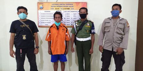 Gakkum KLHK Sulawesi Amankan  Perdagangan 1301 Labi-Labi Moncong Babi