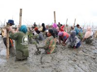 Di Hari Pahlawan, Amphibi Akan Pecahkan Rekor Muri Tanam Mangrove Ke Tengah Laut