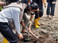 HARI MENANAM POHON INDONESIA : AMPHIBI DAN KOHATI KOMISARIAT INSANCITA TANAM MANGROVE DI TPA SUMUR BATU BEKASI