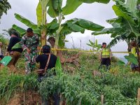 Gempar, Warga Puntukdoro Plaosan Temukan Mortir Tua di Ladang