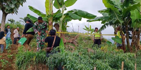 Gempar, Warga Puntukdoro Plaosan Temukan Mortir Tua di Ladang