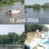 Peringati Hari Lingkungan Hidup Sedunia 5 Juni 2026, AMPHIBI dan KTHn AMPHIBI Percut Tanam 75.000 Mangrove