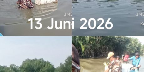 Peringati Hari Lingkungan Hidup Sedunia 5 Juni 2026, AMPHIBI dan KTHn AMPHIBI Percut Tanam 75.000 Mangrove