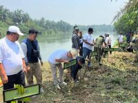Sinergi Jaga Ekosistem, Bupati dan Forkopimda Asahan Buka Festival Sungai Asahan dengan Tanam Pohon dan Tebar Ribuan Benih Ikan