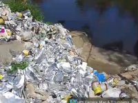 HEBOH! LIMBAH B3 PESTISIDA DITEMUKAN DI SUNGAI BANDAR SIDORAS. AMPHIBI : “ANCAMAN BAGI MANUSIA, IKAN, DAN 17 HA MANGROVE”