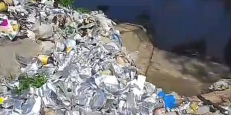 HEBOH! LIMBAH B3 PESTISIDA DITEMUKAN DI SUNGAI BANDAR SIDORAS. AMPHIBI : “ANCAMAN BAGI MANUSIA, IKAN, DAN 17 HA MANGROVE”