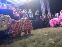 HUT Ke 62 Karang Taruna Jana Bhakti Gelar Pertunjukan  Musik Dan Barongsai